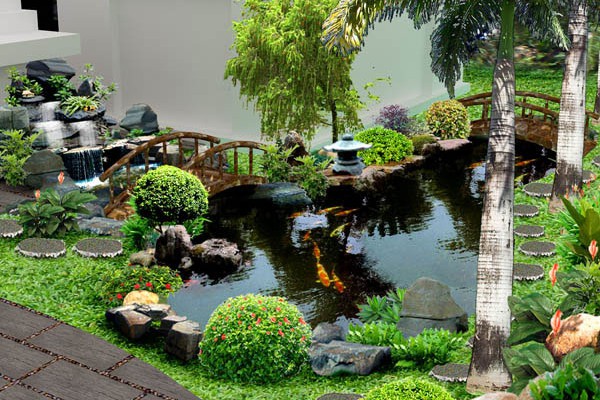Hồ cá koi kết hợp tiểu cảnh sân vườn