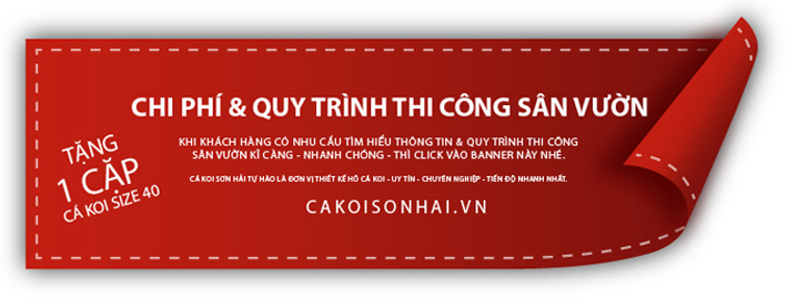 quy-trinh-thi-cong-san-vuon